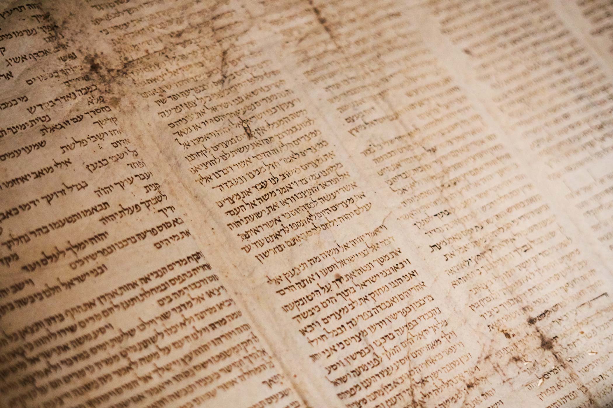 Page of the Torah